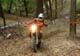 preeride12