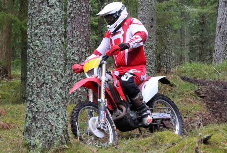 tibro47.jpg