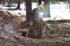 2004-12-04 dec-okand1