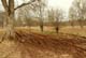 Naturupplevelse