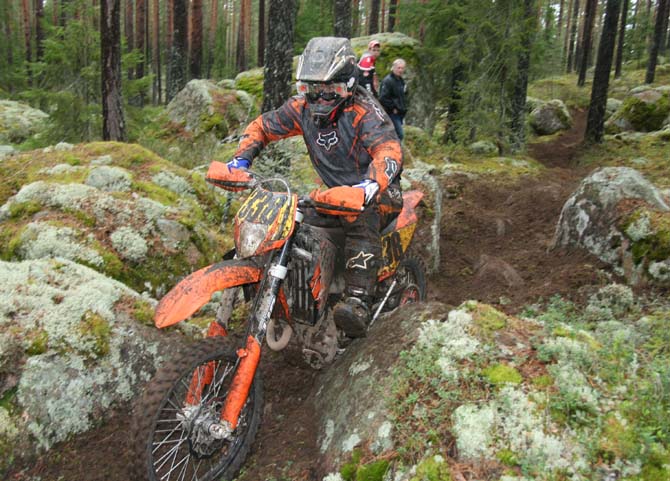 Matti Petersson Solshesters MCK 338aa