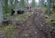 Enduro 1