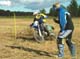 2004-09-26-traning23b