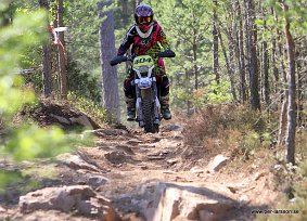 IMG_0595