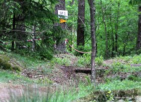IMG_0001