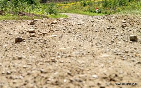 IMG_0302