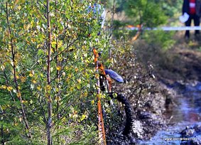 IMG_0177