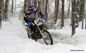 IMG_0184